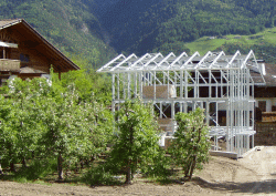 Noggler-01-250x177-Bild